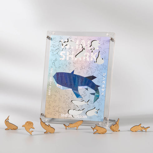 うみのかけら ジンベエザメ フレームセット