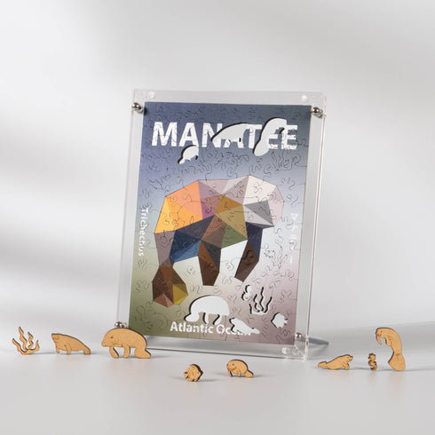 うみのかけら マナティ フレームセット