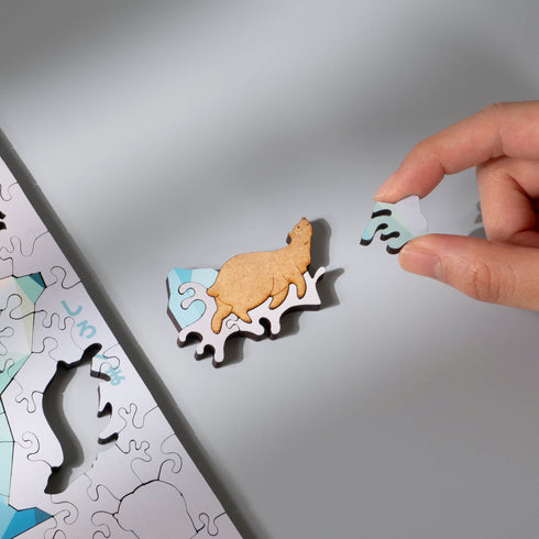 うみのかけら ホッキョクグマ フレームセット