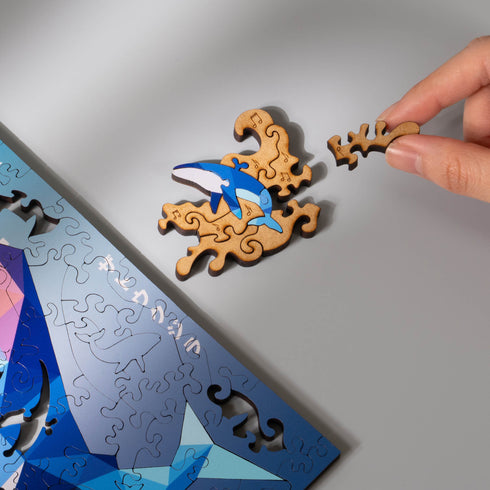 うみのかけら ザトウクジラ フレームセット