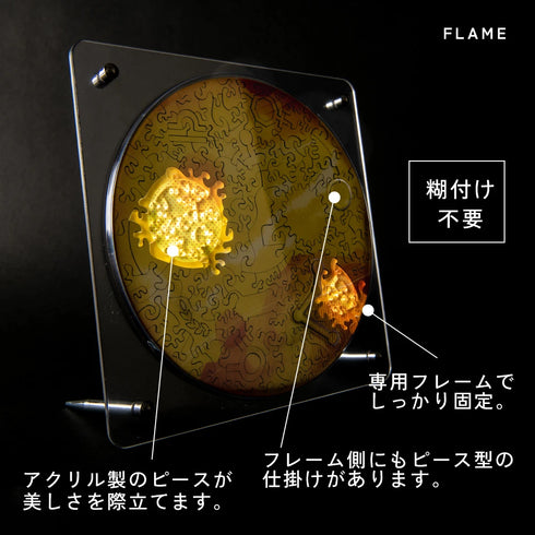 【予約販売】宇宙の破片 VENUS 金星と専用フレームセット