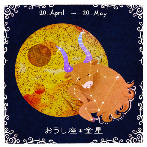 【予約販売】宇宙の破片 VENUS 金星と専用フレームセット