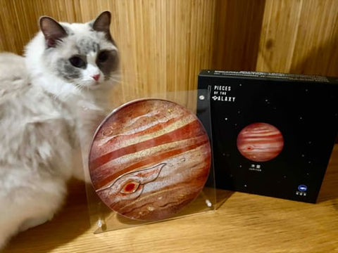 お客様の写真