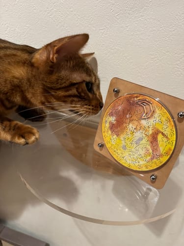 お客様の写真