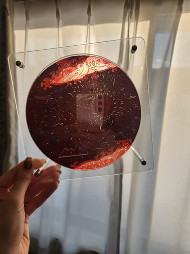 お客様の写真