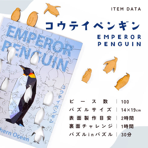 うみのかけら　ALLセット