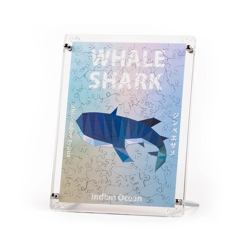 うみのかけら ジンベエザメ フレームセット【4月入庫分予約】 – ご褒美