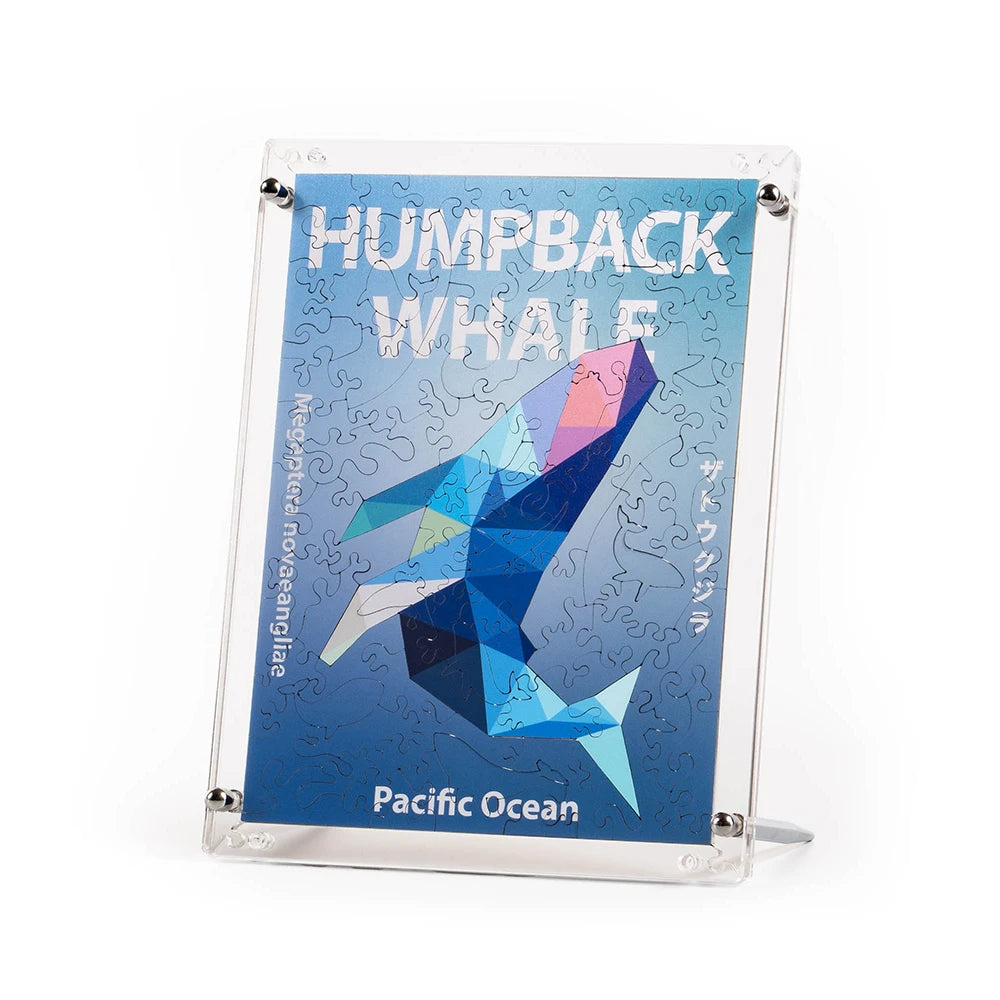 ざとーくじら Amazon.co.jp: ソフビトイボックス013 クジラ ザトウクジラ ノン