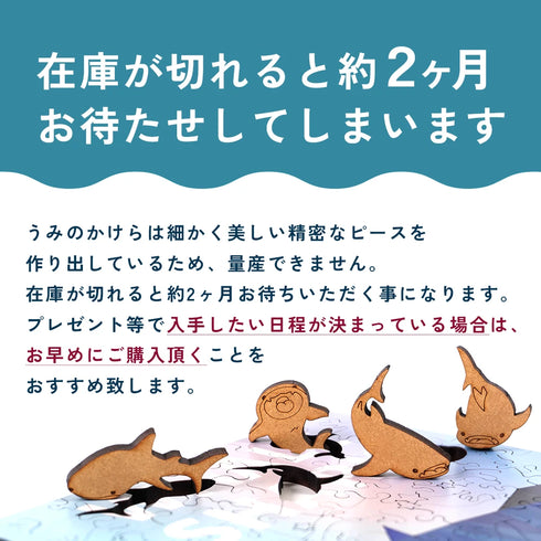 うみのかけら　ALLセット