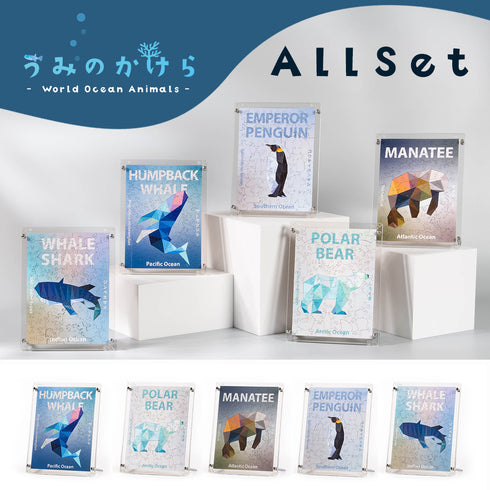 うみのかけら　ALLセット